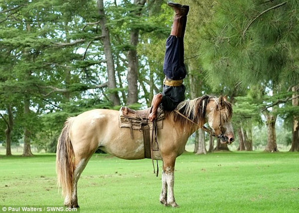 Úgy játszik a lovakkal,mint más a kutyájával